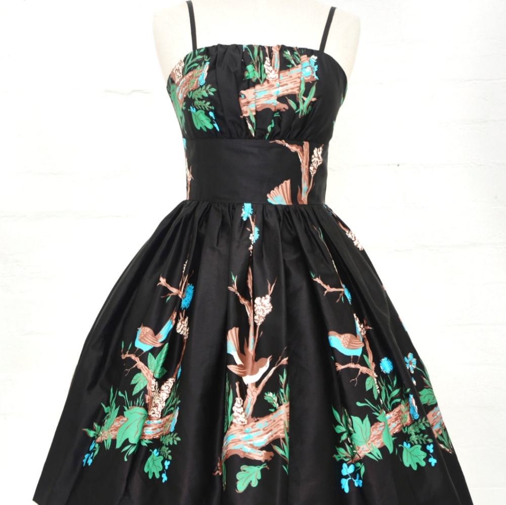 Rockin Robin swing dress with POCKETS